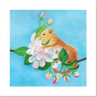 Common dormouse, hazel dormouse climbing in a spring blooming branch Posters and Art